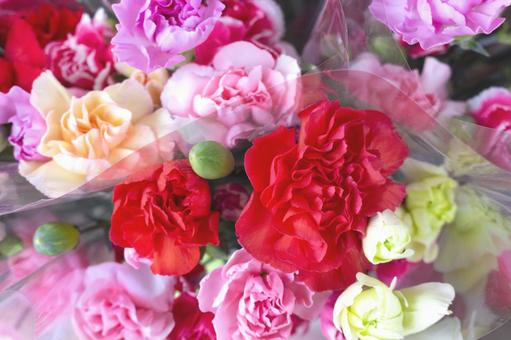 母の日・カーネーション