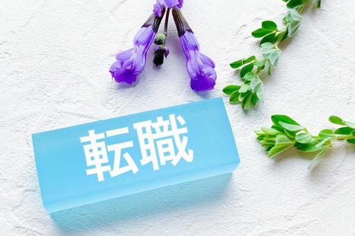 転職4