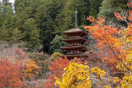 11月の風景