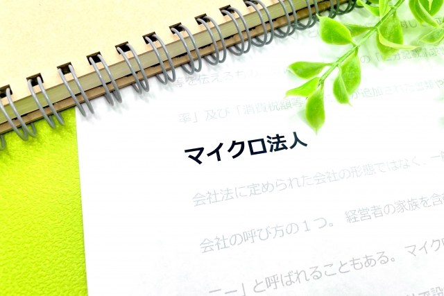マイクロ法人
