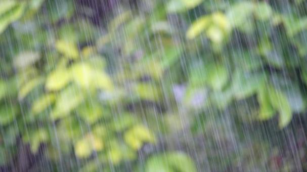 大雨