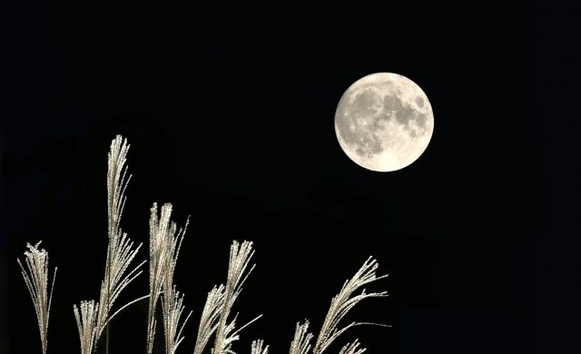 十三夜の月見