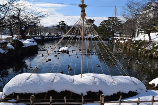 大雪